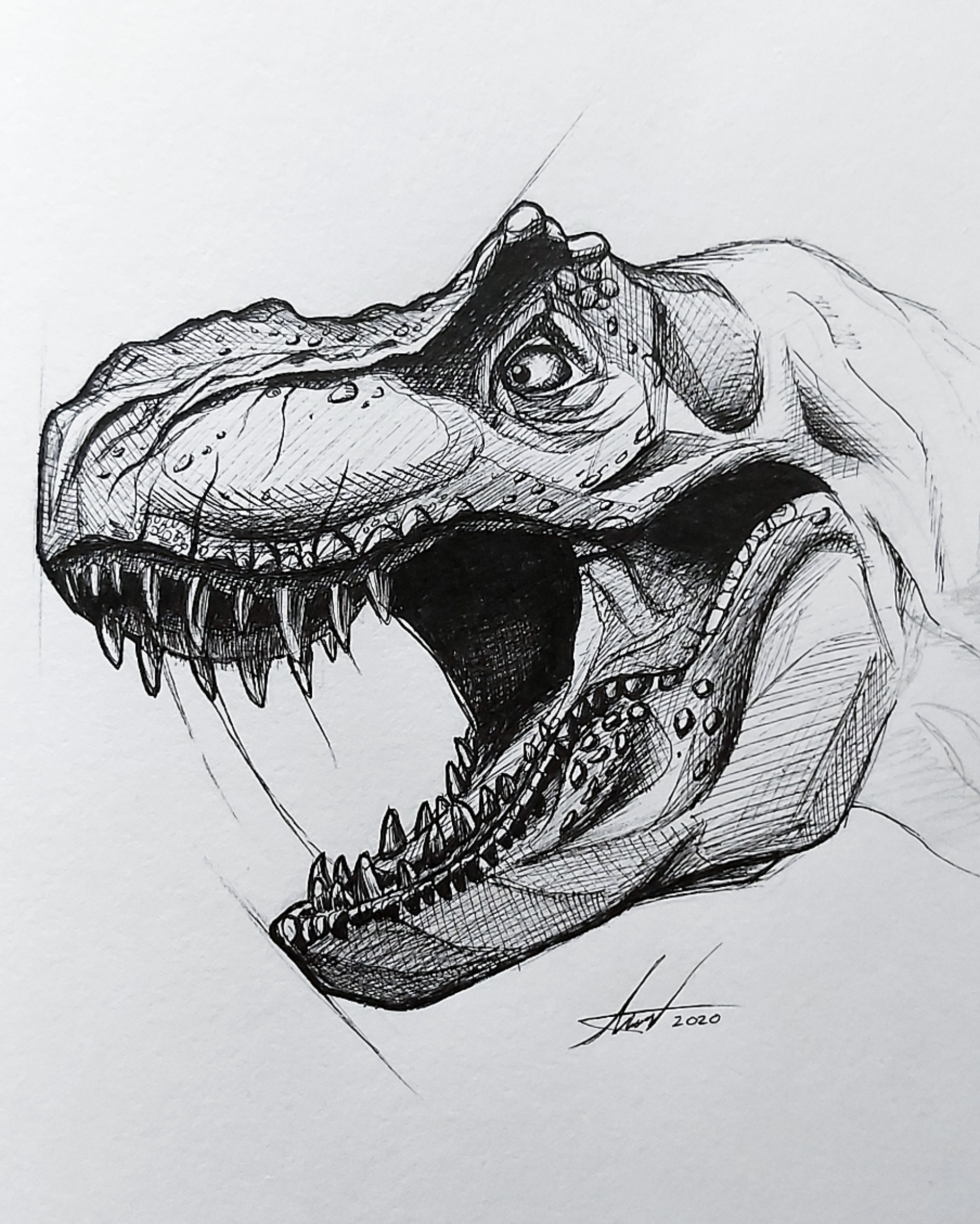 Jurassic Park T-Rex