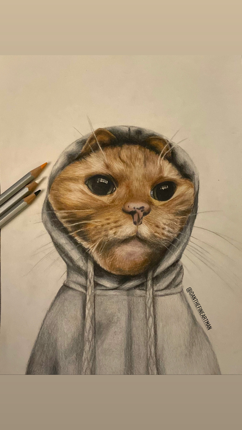 A4 coloured pencil drawing: Cat in a hoodie (not my own photo) (May 2020)