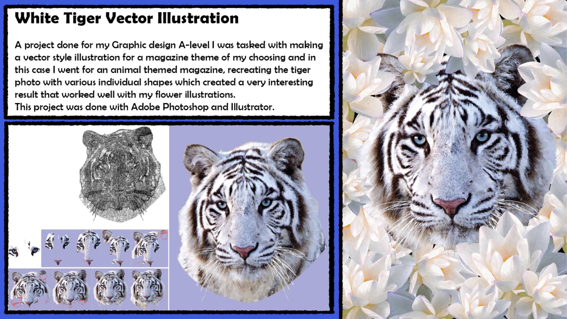 Portfolio page 5 - Tiger vector art