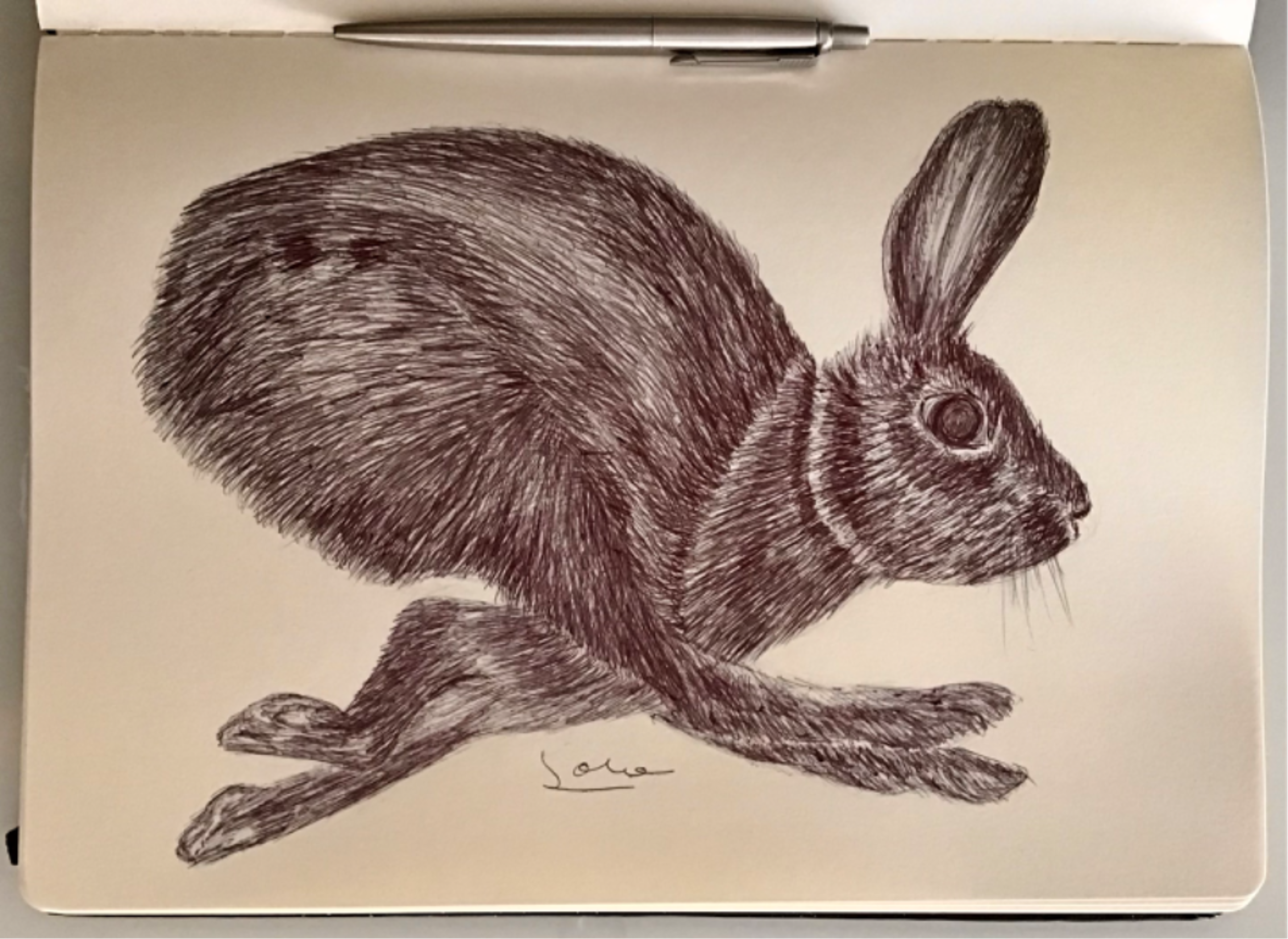 Ballpen Rabbit 🐇