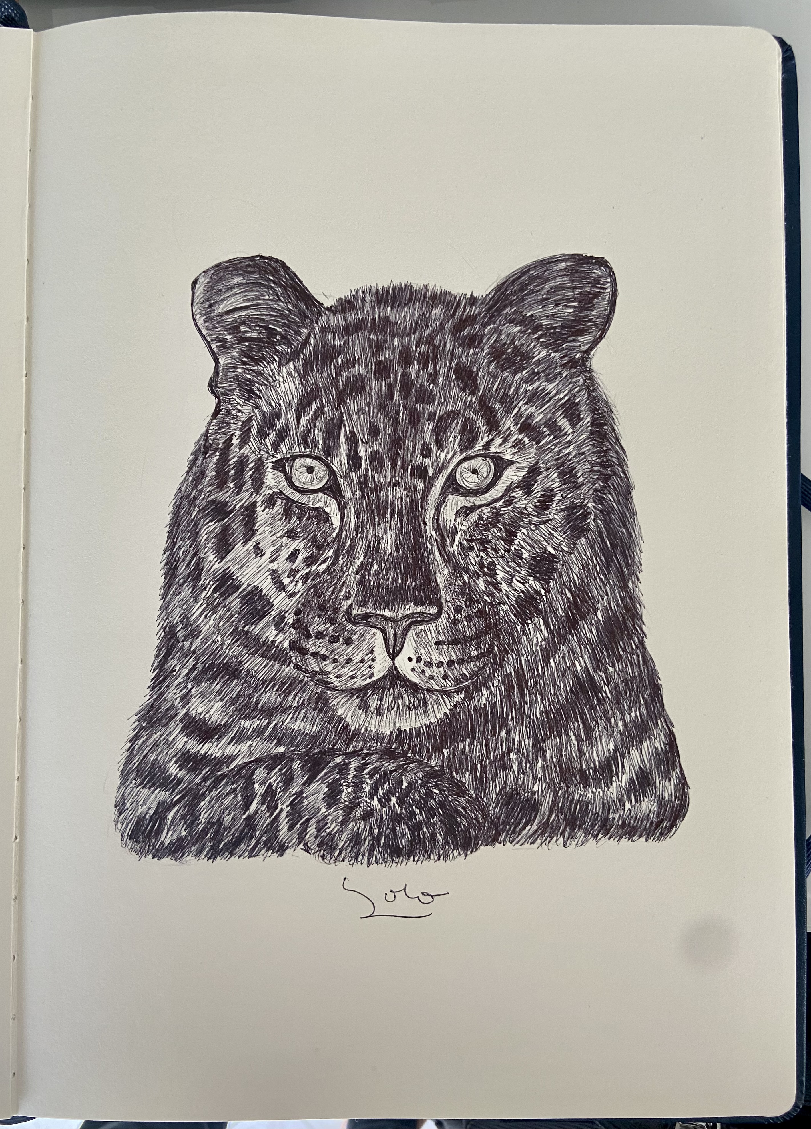 Ballpen Leopard 🐆