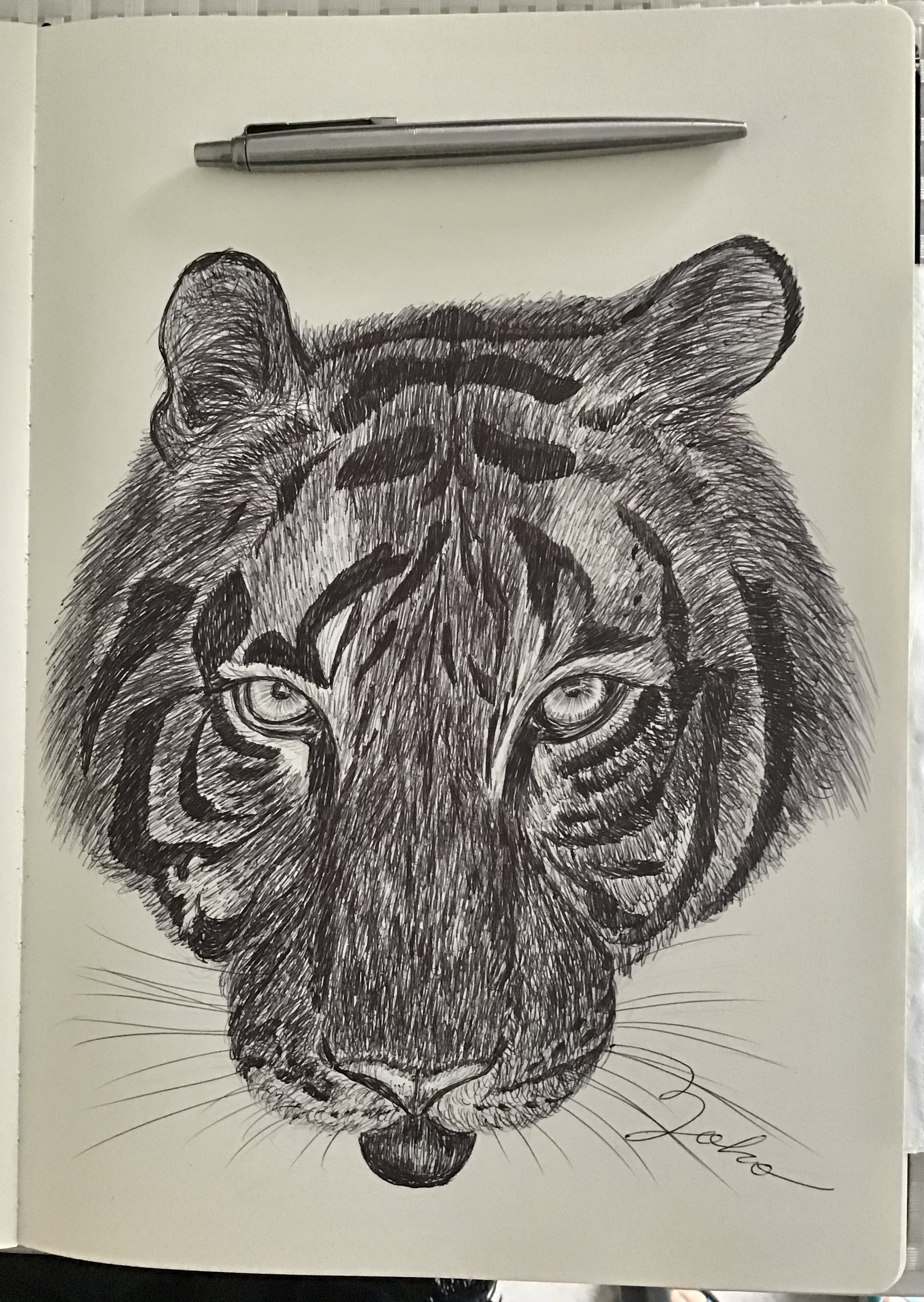 Ballpen Tiger 🐅