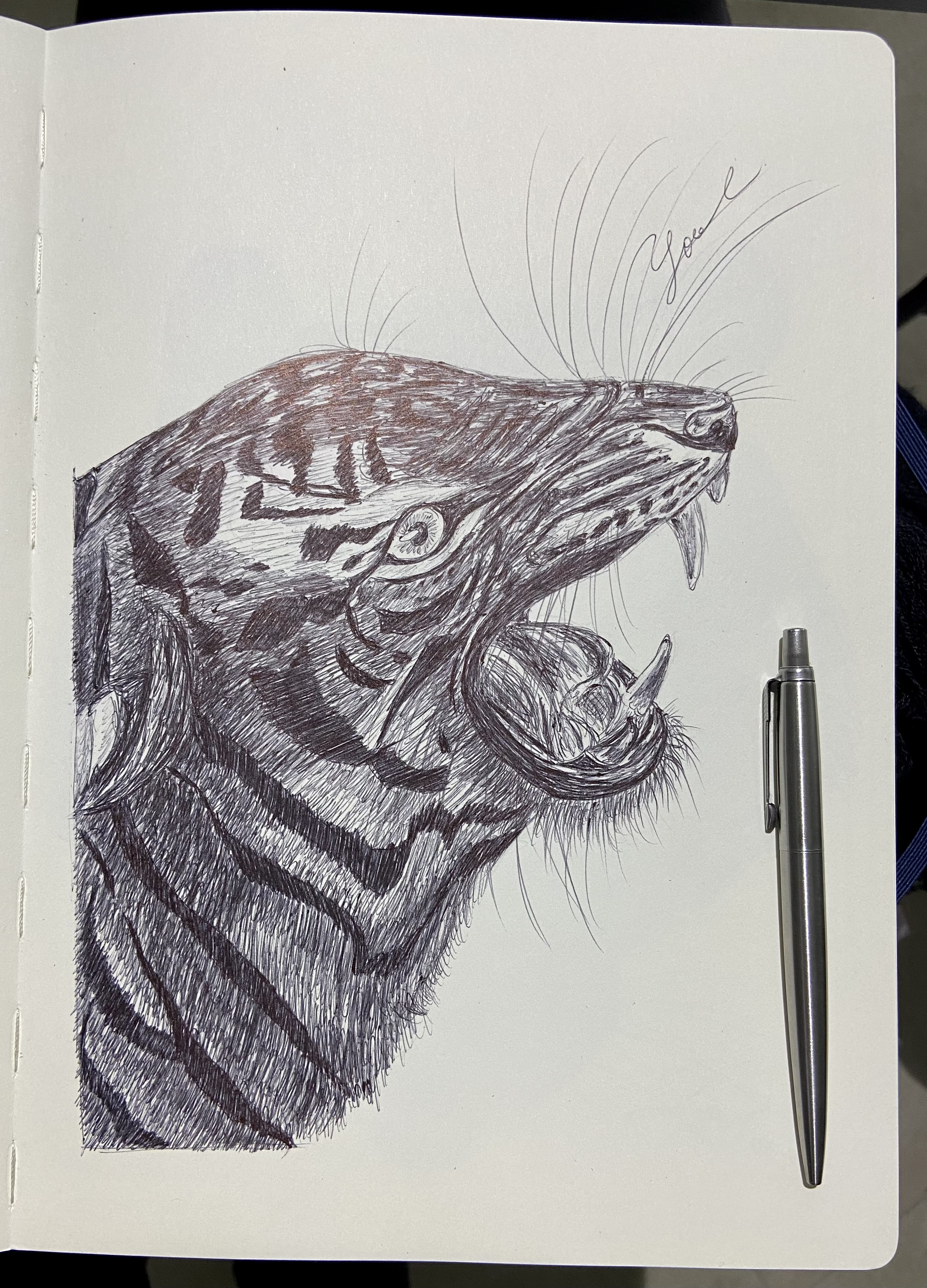 Ballpen Tiger 🐅