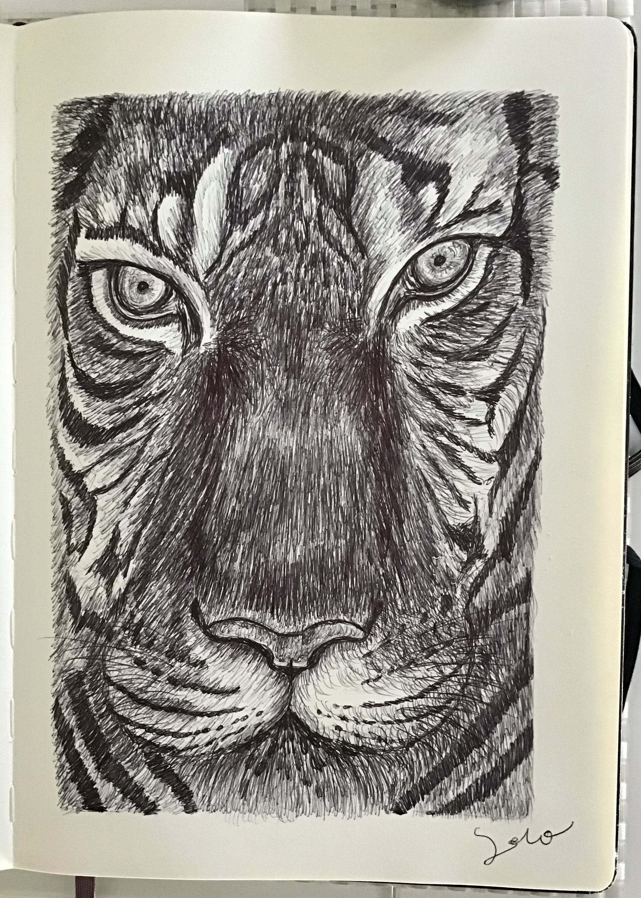 Ballpen Tiger 🐅