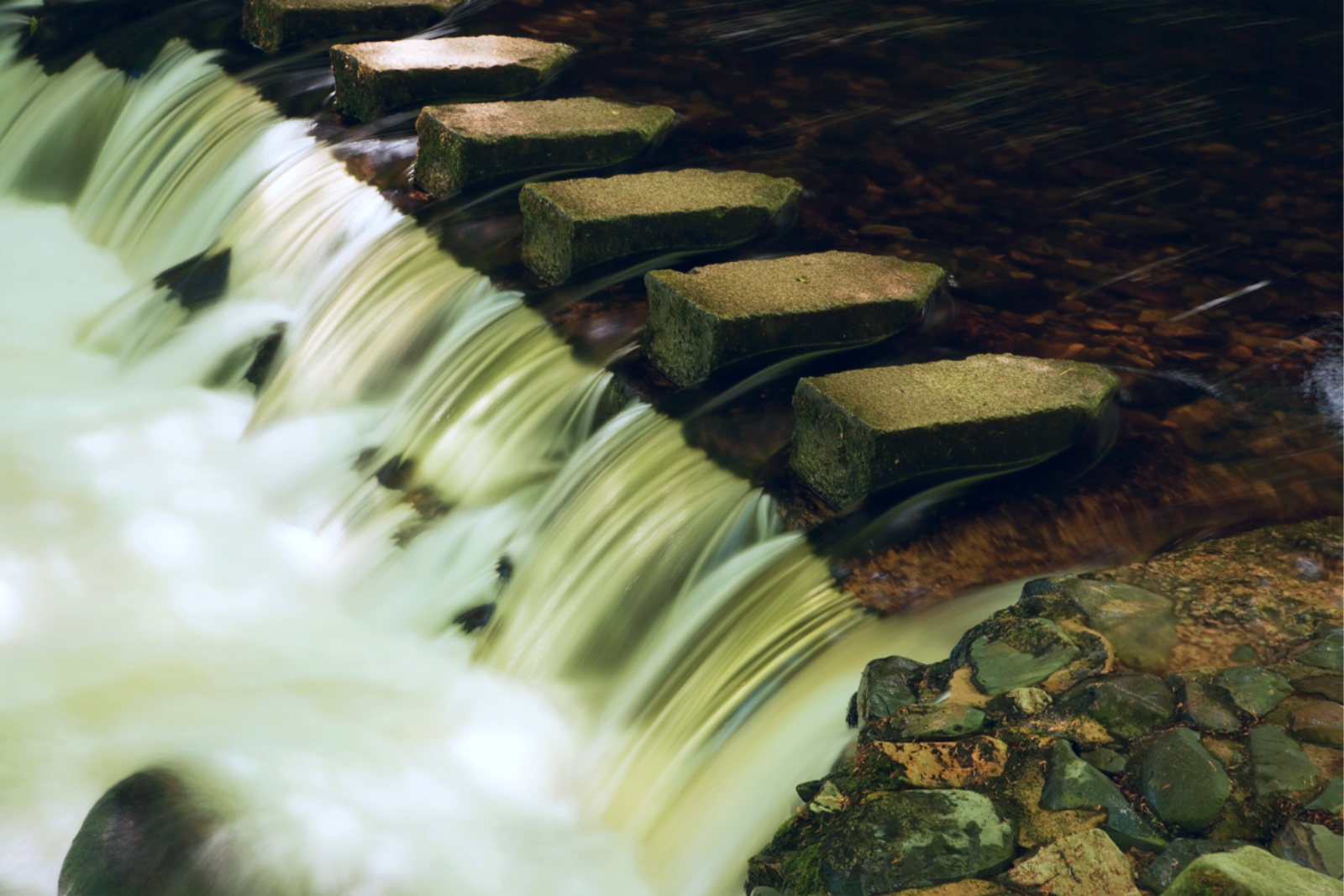 Please add a caption or leave blank to remove