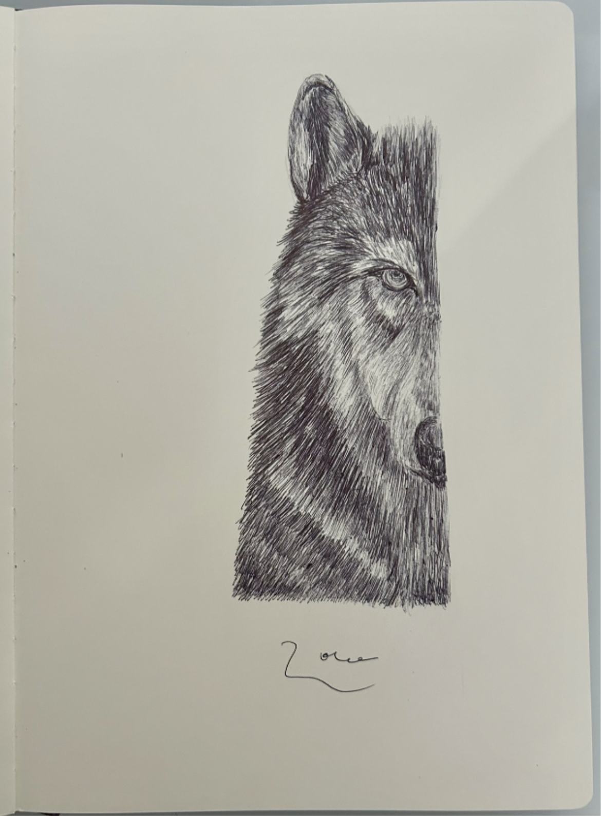 Ballpen Wolf 🐺