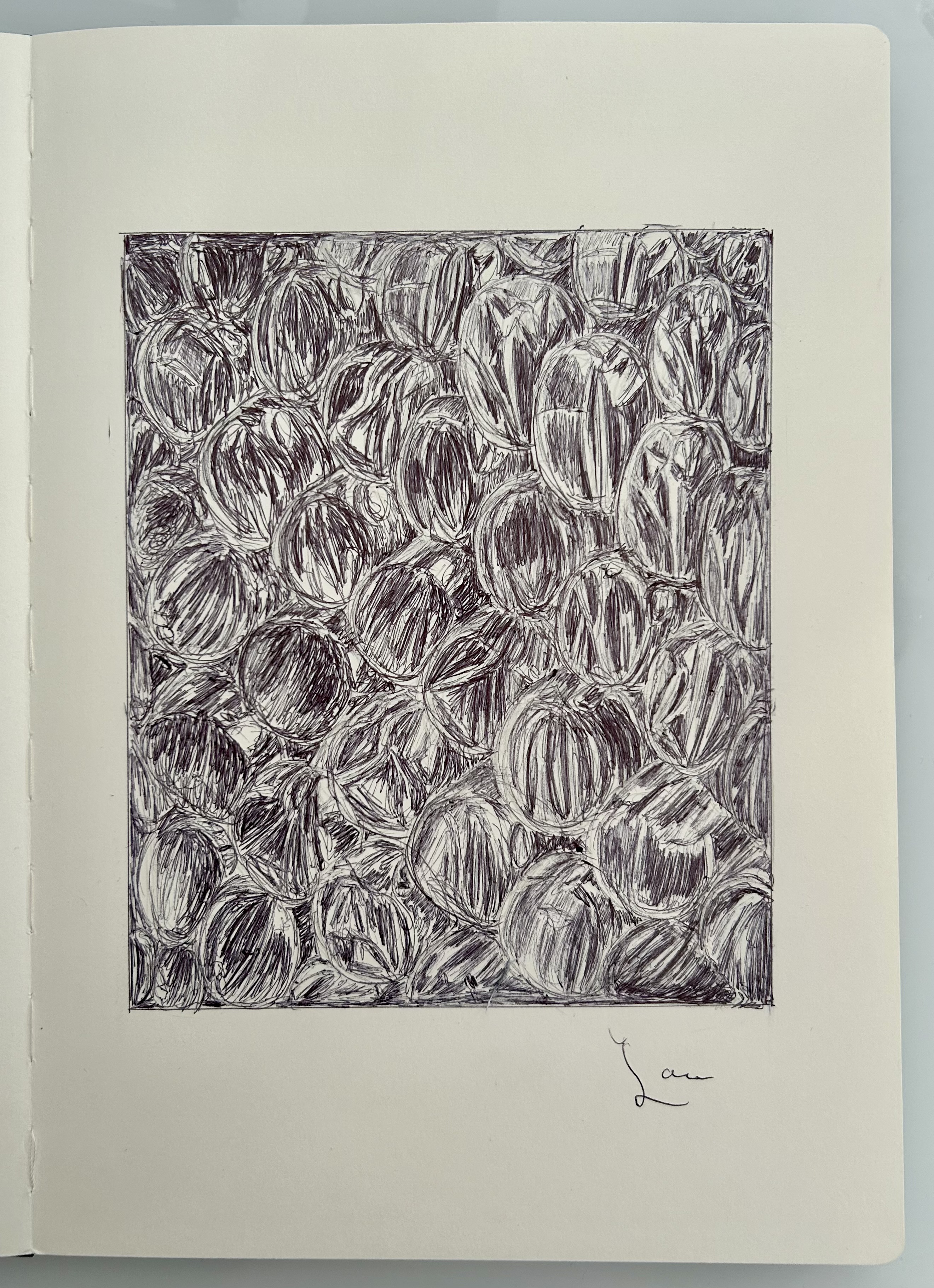 Ballpen Bubble 🫧 Wrap