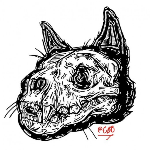 cat skull