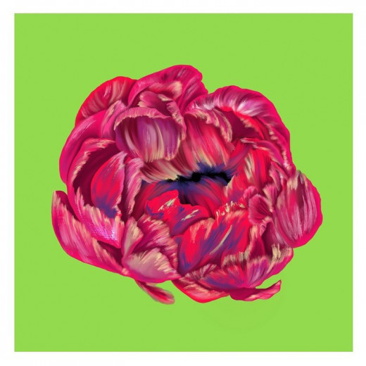 "Peony" print - digital illustration