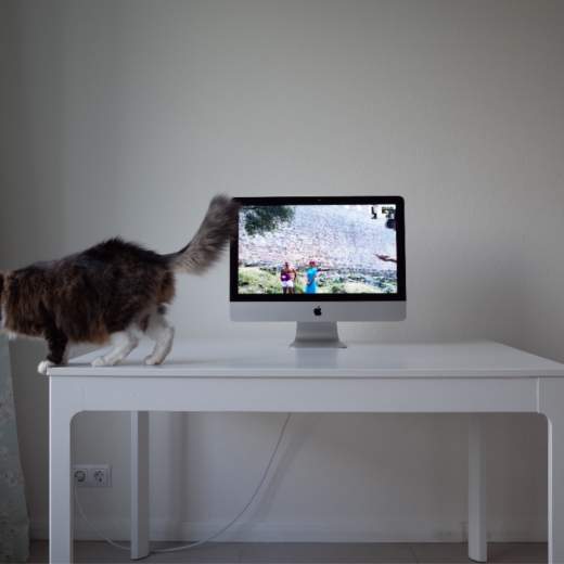 1b1b / So distant and so close: Tel Aviv, Istanbul, 2023