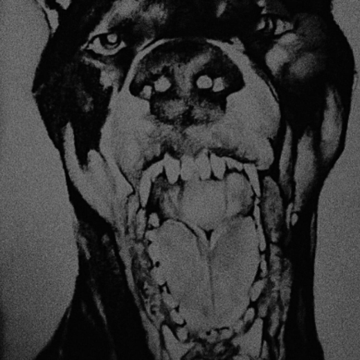 Commission by pencil